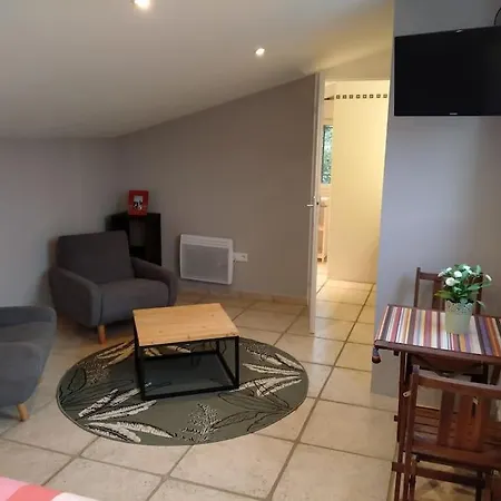 Mas Picton Maison 4 Dans Mas Piscine Proche 度假居