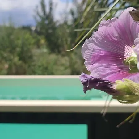 Σπίτι διακοπών Mas Picton Maison 4 Dans Mas Piscine Proche Argelès-sur-Mer