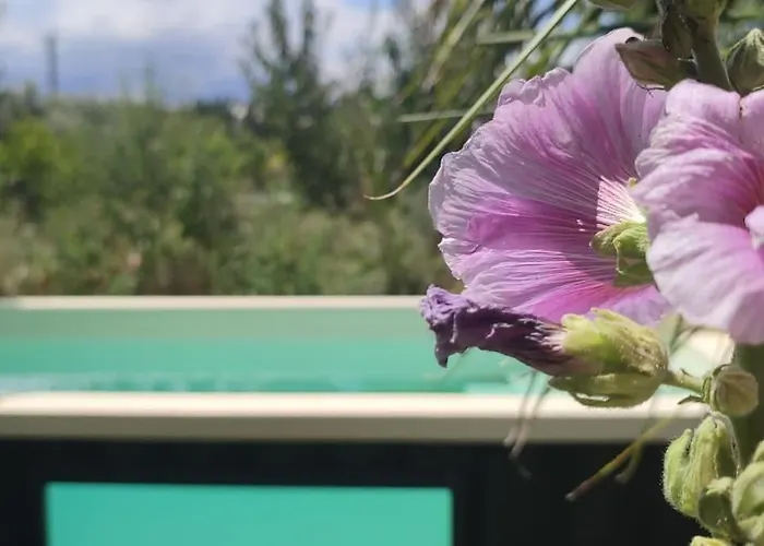 Дом отдыха Mas Picton Maison 4 Dans Mas Piscine Proche Аржель-сюр-Мер
